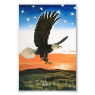 Our Emblem by Newell Convers Wyeth Photo Print