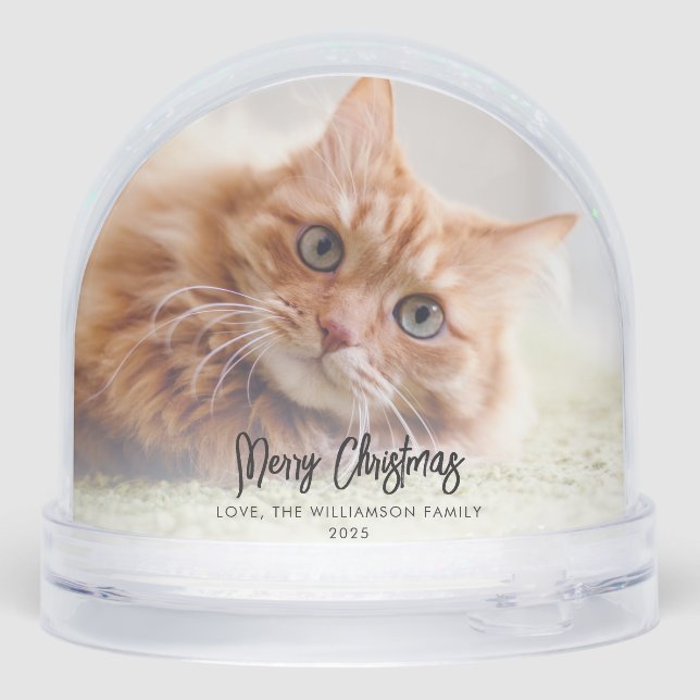 Our First Christmas as a Family Photos Custom Snowglobe (Back)