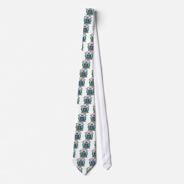 Our Lady of Good Success Academy Tie (Front)