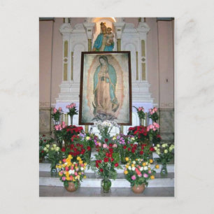 Our Lady of Guadalupe Postcard