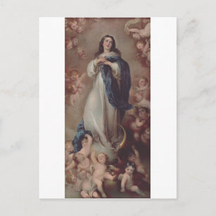 Our Lady of the Immaculate Conception Postcard