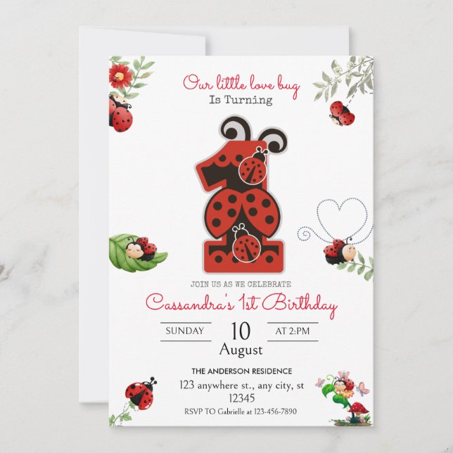 Our Little Lady Girl Lady Bug 1st Birthday Party Invitation (Front)