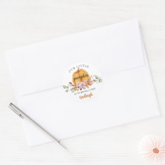 Our Little Pumpkin First Birthday Party Classic Round Sticker