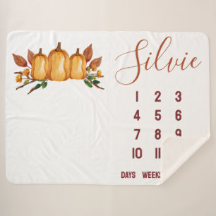 Our Little Pumpkin, Floral Baby Milestone Sherpa Blanket