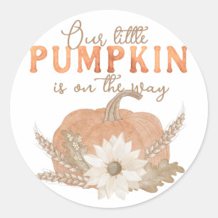 Our Little Pumpkin - Orange Classic Round Sticker