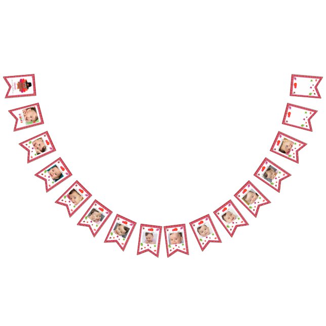 Our Little Turkey (Girl) First Year Photo Bunting (All)