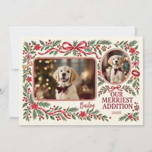 Our Merriest Addition Puppy Christmas Photo Holiday Card