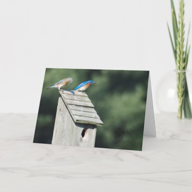 Our New Home, Card (Front)