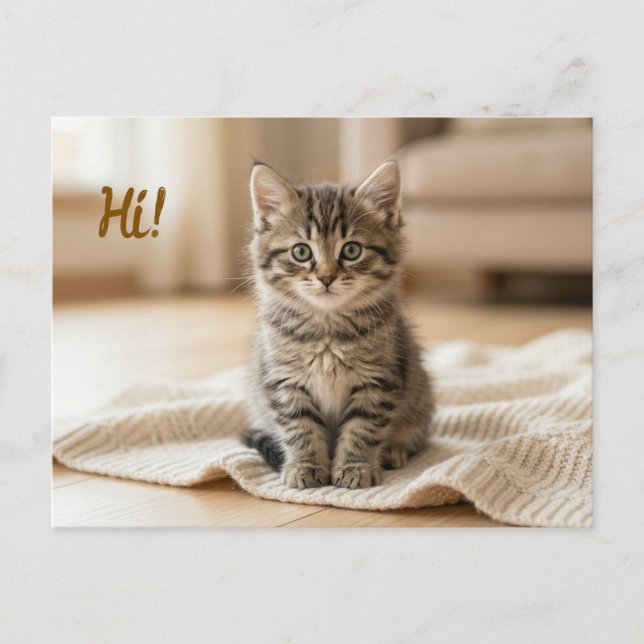 Our New Kitten Photo Announcement  Postcard (Front)