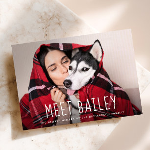 Our New Pet Dog   Simple Photo Announcement