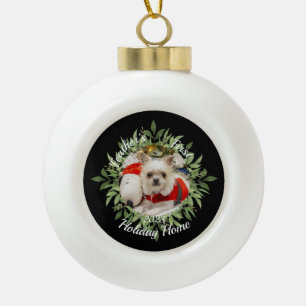 Our Pet's First Holiday Home Ornament