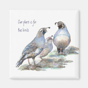 Our place is for the birds, California Quail Magnet