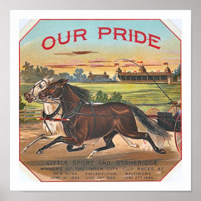 Our Pride Vintage Winning Race Horse Poster (Front)