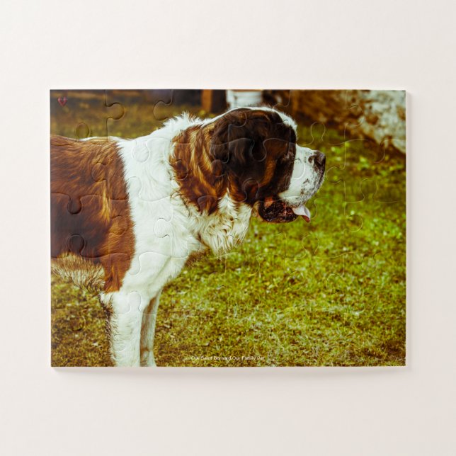 Our Saint Bernard Our Family Pet Jigsaw Puzzle (Horizontal)