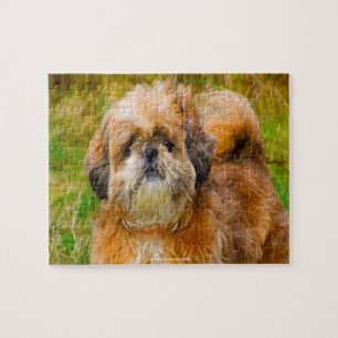 Our Shih Tzu Our Family Pet Jigsaw Puzzle