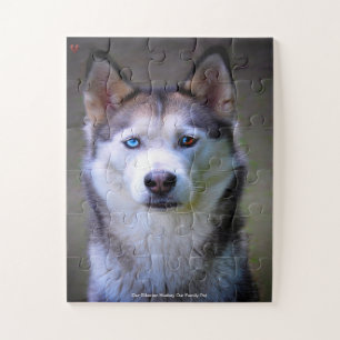 Our Siberian Huskey Our Family Pet Jigsaw Puzzle