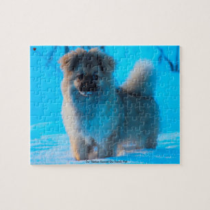 Our Tibetan Spaniel Our Family Pet Jigsaw Puzzle