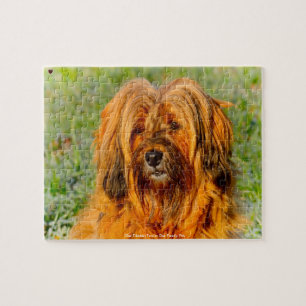 Our Tibetan Terrier Our Family Pet Jigsaw Puzzle