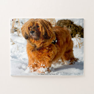 Our Tibetan Terrier Our Family Pet Jigsaw Puzzle