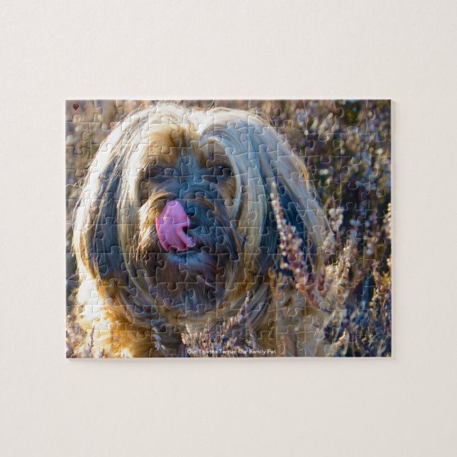 Our Tibetan Terrier Our Family Pet Jigsaw Puzzle (Horizontal)