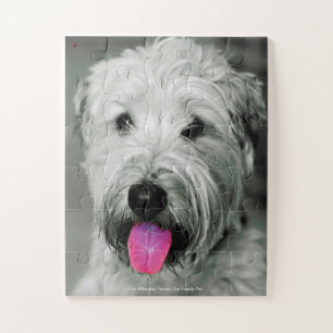 Our Wheaten Terrier Our Family Pet Jigsaw Puzzle