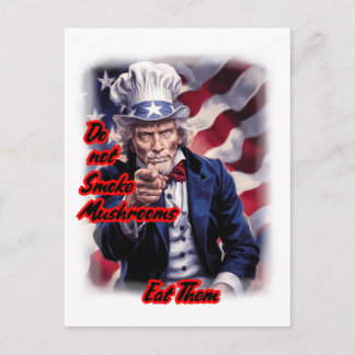 Our White Red Blue Uncle Sam gives advice on a Holiday Postcard