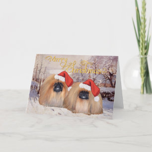 Out and About Holiday Card