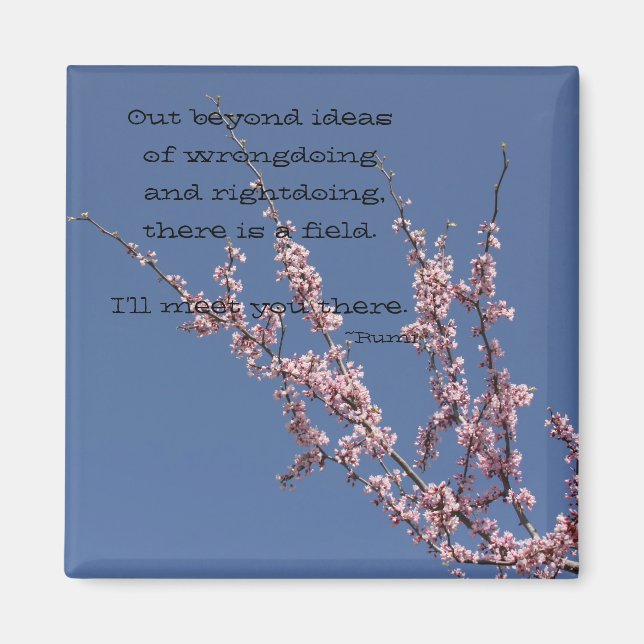 Out Beyond Ideas Magnet (Front)