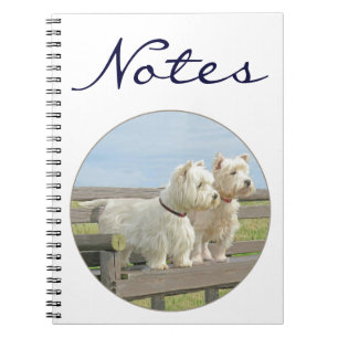 Out Exporing Notebook