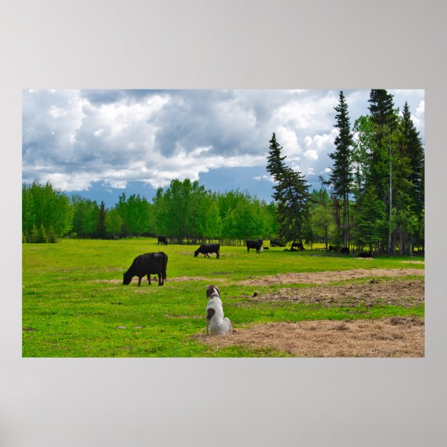 Out in the Pasture Poster (Front)