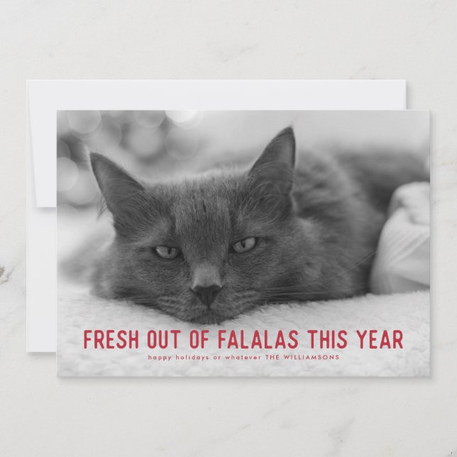 Out of Falalas Sarcastic Funny Holiday Cards (Front)