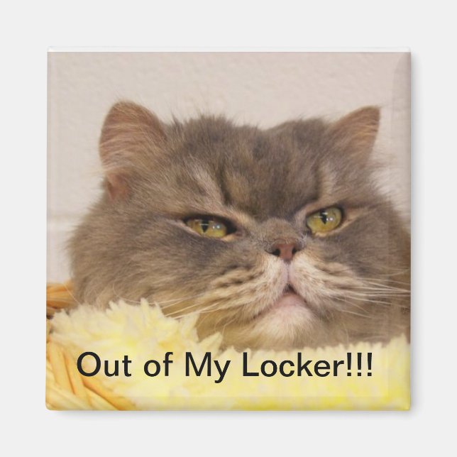 OUT OF LOCKER MAGNET (Front)