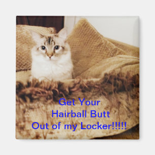 Out of my locker magnet