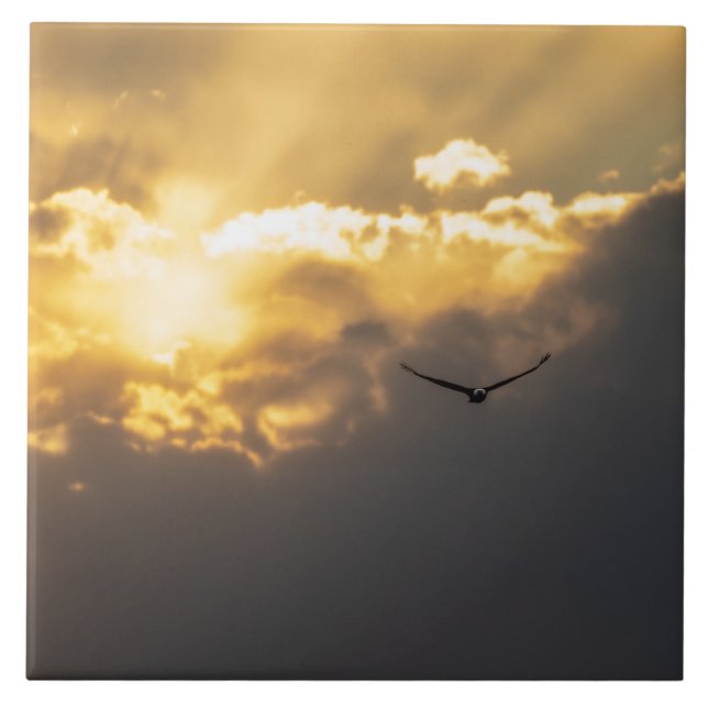 Out Of The Sun Bald Eagle Tile (Front)