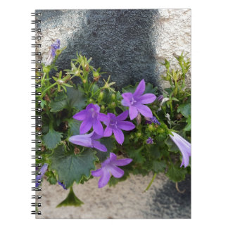 out of the wall flower spiral notebook