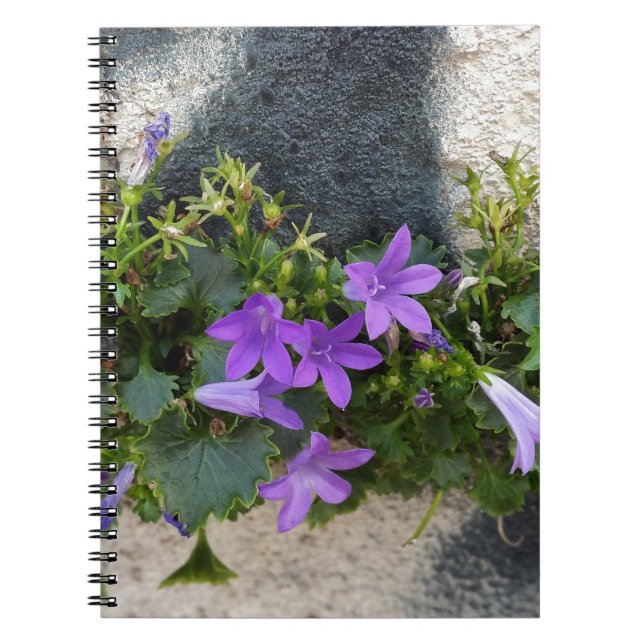 out of the wall flower spiral notebook (Front)