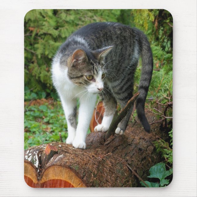 Out on a Cat Walk - Kitty Mousepad (Front)