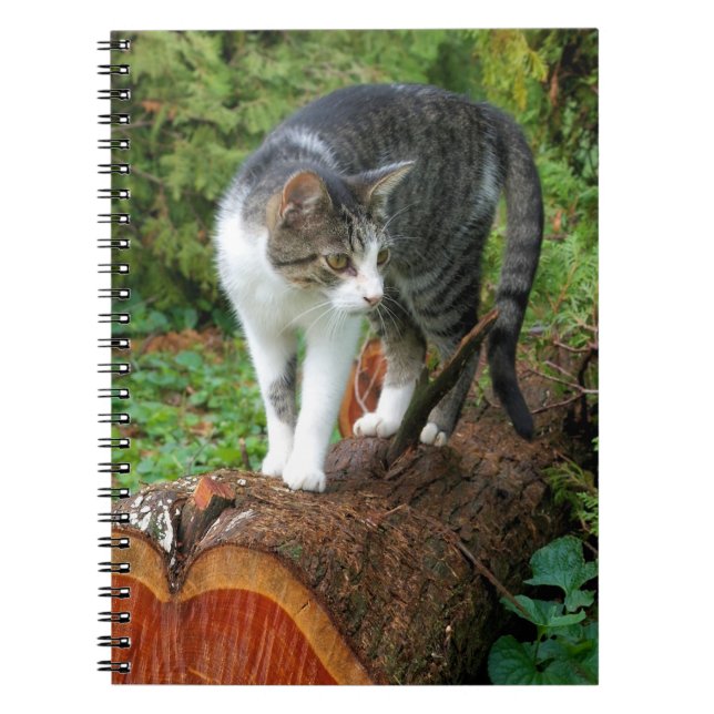 Out on a Cat Walk  -  Kitty Notebook (Front)