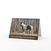 Out to Pasture - Birthday Card