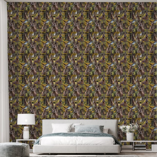 Outback Beauty: Kangaroo And Wattle Photo Collage Wallpaper (Bedroom)