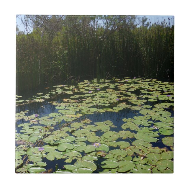 Outback Lily Pads Ceramic Tile (Front)
