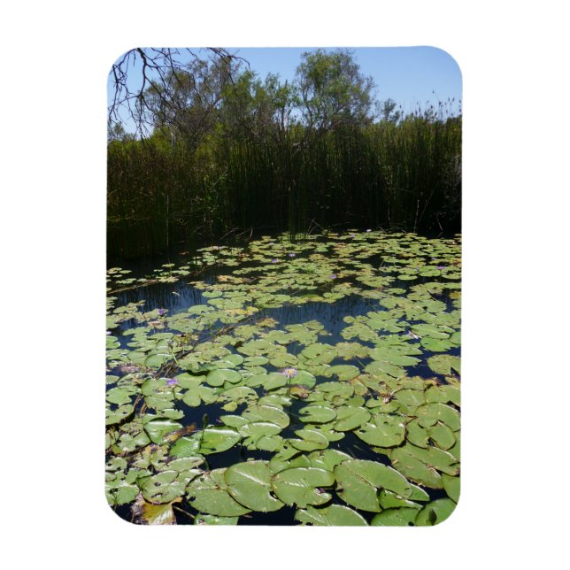 Outback Lily Pads Flexible Photo Image Magnet (Vertical)