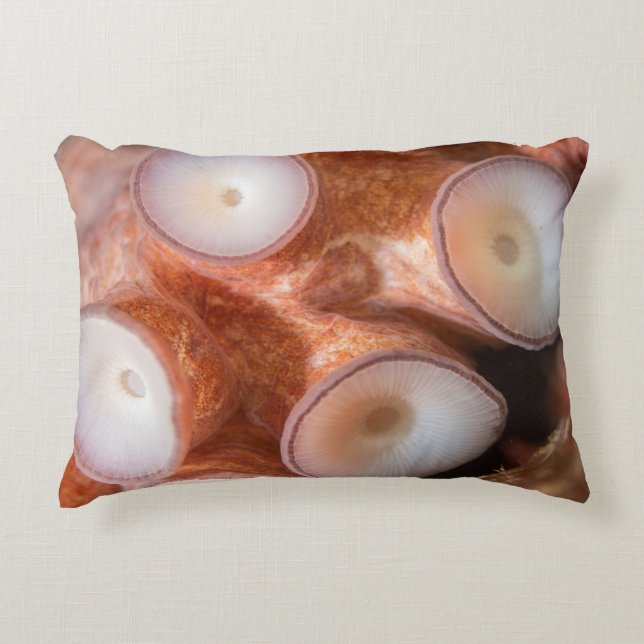 Outdoor pillow with tentacles (Front)