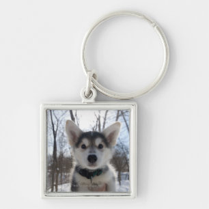 Outdoor portrait of husky dog puppy key ring