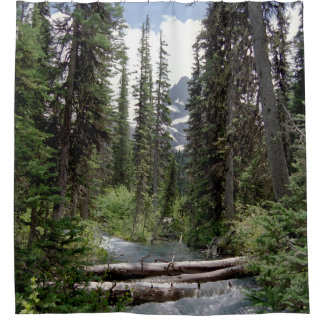 outdoor scene shower curtain