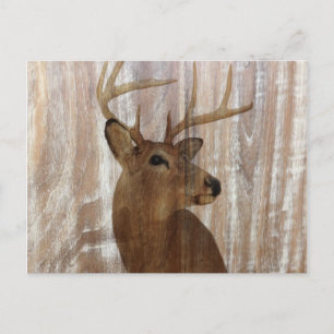 Outdoorsman Western Primitive barn wood deer Postcard