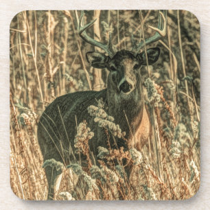outdoorsman wilderness Camouflage whitetail deer Coaster