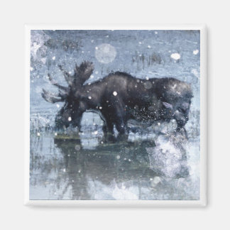 outdoorsman winter wilderness wildlife bull moose magnet