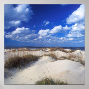 Outer Banks Dunes Poster