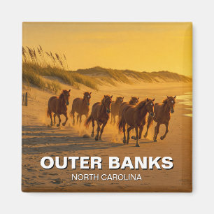 Outer Banks North Carolina Horses Travel Magnet